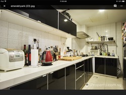 Emerald Park (D3), Condominium #182286372